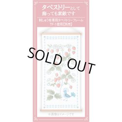 画像3: [9004] オリムパス　オノエ・メグミ刺しゅうキットシリーズ　花咲く庭の小さな物語　テーブルセンター　ワイルドストロベリーと鳥