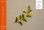 画像1: [9010] EMBROIDERY　MINI　BOOK　01　草花の刺しゅう　ONDORI-BOOKS (1)