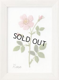 画像1: [9017] COSMO　青木和子　12か月の植物手帖　刺しゅうキット　フレーム付き　ローズ