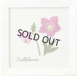 画像1: [9012] COSMO　青木和子　12か月の植物手帖　刺しゅうキット　フレーム付き　クリスマスローズ