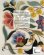 画像2: [9378] Beginner's Guide to Crewel Embroidery Jane Rainbow (2)