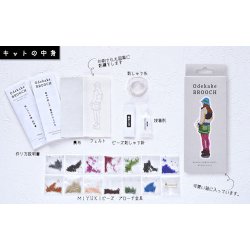 画像4: [9944] MIYUKI おでかけブローチキット 各種