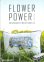 画像1: [10527] ZWEIGART　No.104/315　FLOWER POWER  (1)
