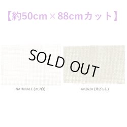 画像1: [10543]  SOTEMA BURATTO 約6本/cm　各色 【切り出しサイズ：約50cm×約88cm】