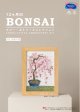 [10555] オリムパスクロスステッチキット　12ヶ月のＢＯＮＳＡＩ　「3月 枝垂れ桜」