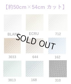 画像1: [10066] DMC14ctアイーダ  【切り出しサイズ：約50cm×約54cm】