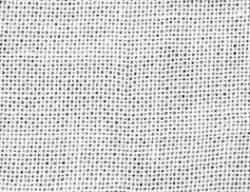 画像1: [10472] さらし　白　34cm幅