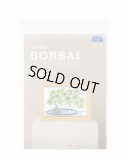 画像3: [10702] オリムパスクロスステッチキット　12ヶ月のＢＯＮＳＡＩ　「8月 山紅葉」