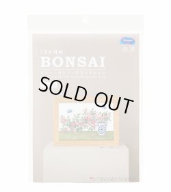画像3: [10699] オリムパスクロスステッチキット　12ヶ月のＢＯＮＳＡＩ　「5月 野薔薇」
