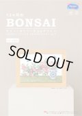 [10699] オリムパスクロスステッチキット　12ヶ月のＢＯＮＳＡＩ　「5月 野薔薇」