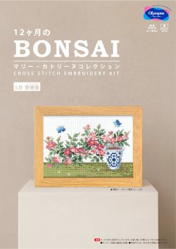 画像1: [10699] オリムパスクロスステッチキット　12ヶ月のＢＯＮＳＡＩ　「5月 野薔薇」