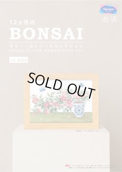 画像1: [10699] オリムパスクロスステッチキット　12ヶ月のＢＯＮＳＡＩ　「5月 野薔薇」