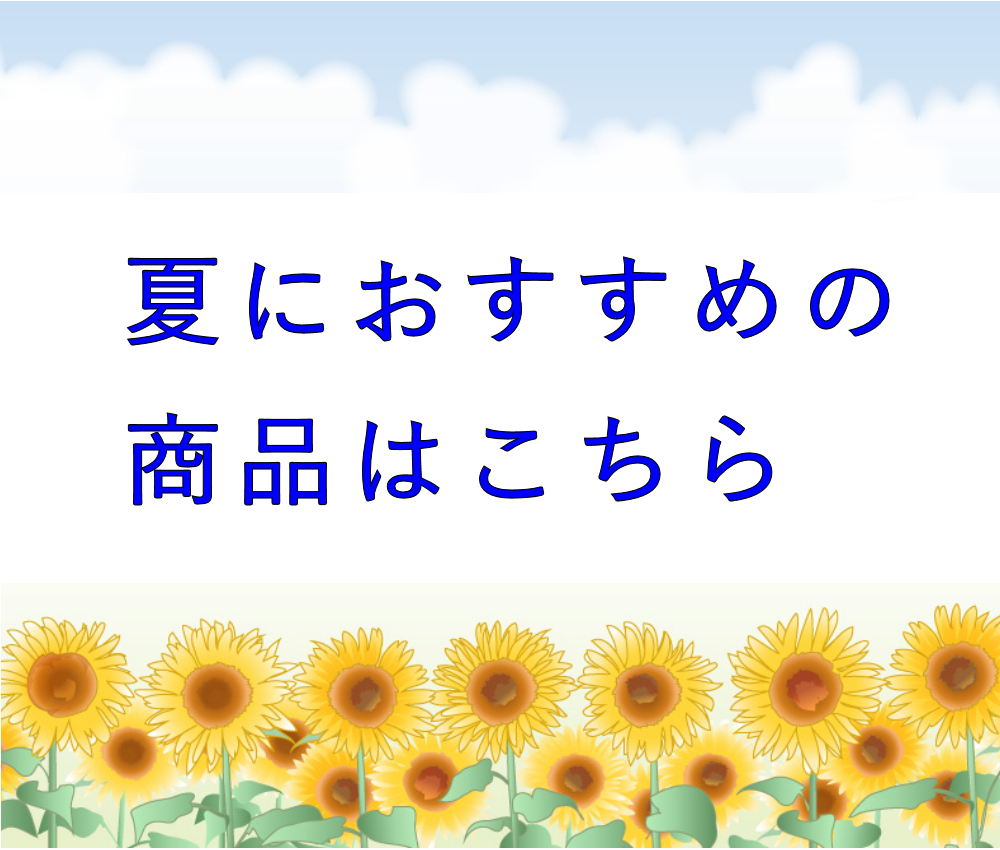 夏のおすすめ