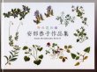 画像1: [5226] 安部恭子作品集　「野の花刺繍IV」 (1)