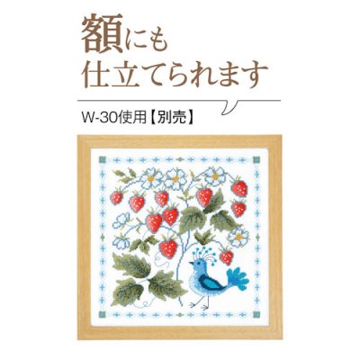 画像2: [8864] オリムパス　オノエ・メグミ刺しゅうキットシリーズ　花咲く庭の小さな物語　ワイルドストロベリーと鳥