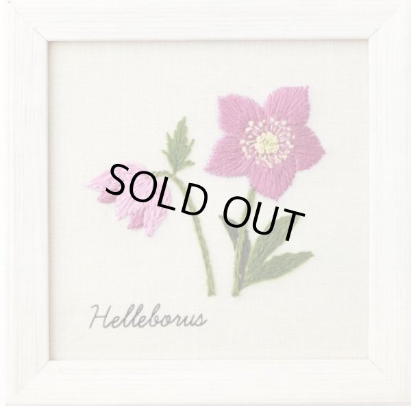 画像1: [9012] COSMO　青木和子　12か月の植物手帖　刺しゅうキット　フレーム付き　クリスマスローズ (1)