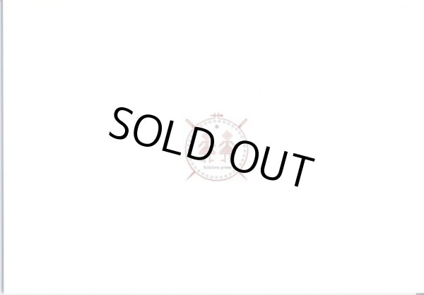 画像2: [9026] トランシルヴァニアのクロスステッチ・パターン集 folklora press (2)