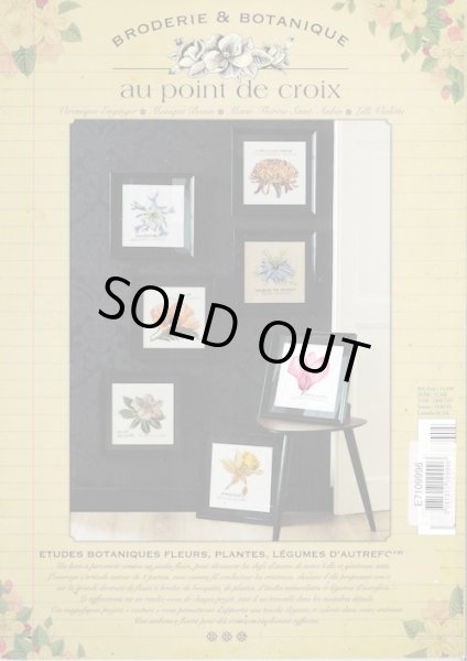 画像2: [9910] BRODERIE & BOTANIQUE au point de croix (2)