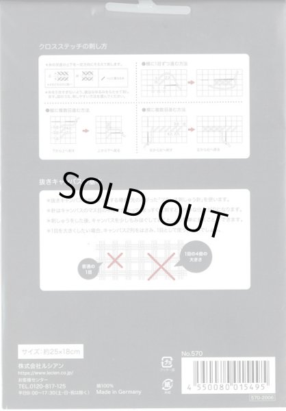 画像2: [9930] コスモ 抜きキャンバス 70目/10cm  サイズ：約25×18cm (2)