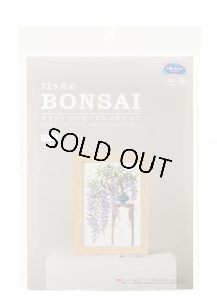 画像3: [10556] オリムパスクロスステッチキット　12ヶ月のＢＯＮＳＡＩ　「4月 藤」 (3)