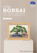 画像1: [10553] オリムパスクロスステッチキット　12ヶ月のＢＯＮＳＡＩ　「1月 錦松と寒木瓜」 (1)