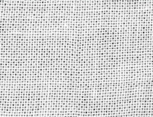 画像1: [10472] さらし　白　34cm幅 (1)