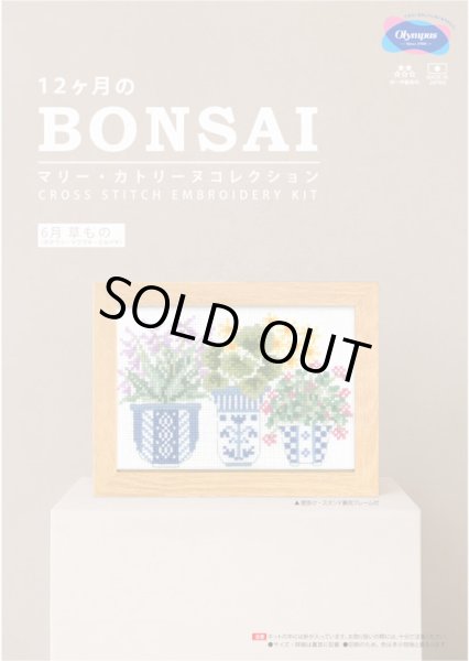 画像1: [10700] オリムパスクロスステッチキット　12ヶ月のＢＯＮＳＡＩ　「6月 草もの」 (1)