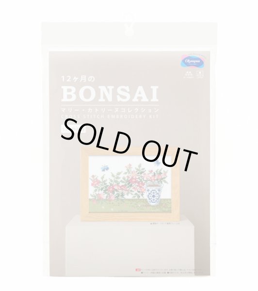 画像3: [10699] オリムパスクロスステッチキット　12ヶ月のＢＯＮＳＡＩ　「5月 野薔薇」 (3)