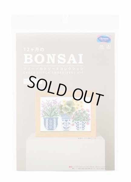 画像3: [10700] オリムパスクロスステッチキット　12ヶ月のＢＯＮＳＡＩ　「6月 草もの」 (3)