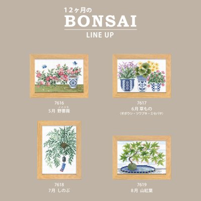 画像2: [10699] オリムパスクロスステッチキット　12ヶ月のＢＯＮＳＡＩ　「5月 野薔薇」