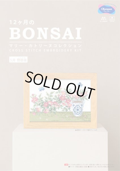 画像1: [10699] オリムパスクロスステッチキット　12ヶ月のＢＯＮＳＡＩ　「5月 野薔薇」 (1)